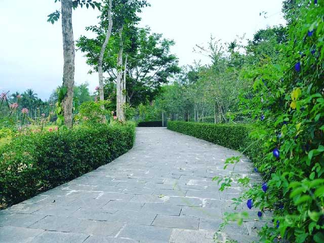 Làng cổ đẹp như tranh vẽ trên quê hương cụ Huỳnh Thúc Kháng hình ảnh 4 lang co dep nhu tranh ve tren que huong cu huynh thuc khang hinh anh 4
